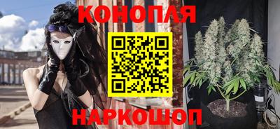 индика Лесосибирск